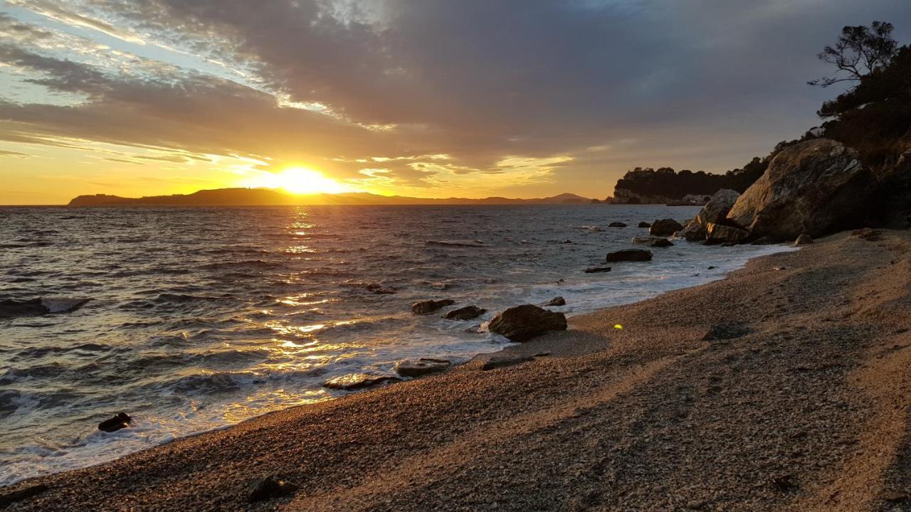 Appartamento Apart Plage Carqueiranne Esterno foto
